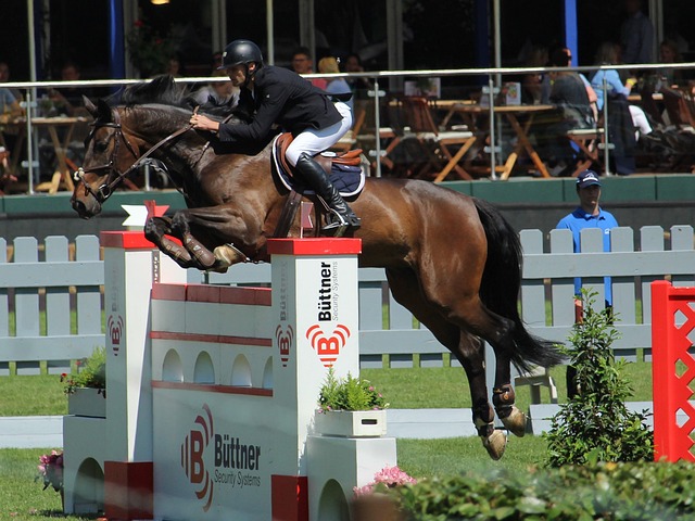 而球迷则期 而球迷则期