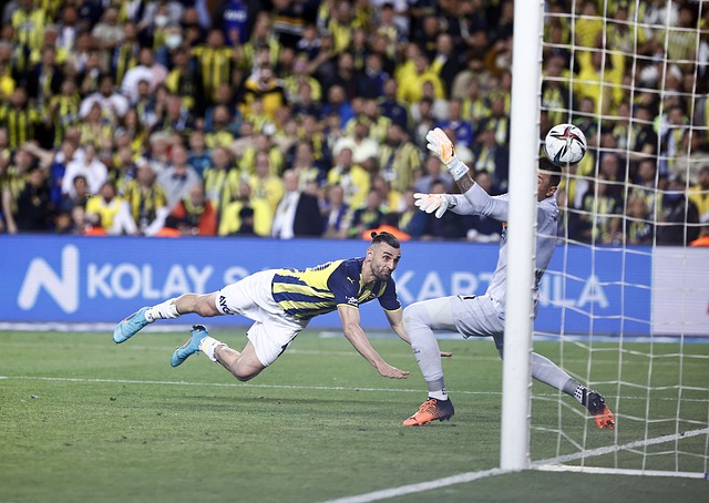 若日尼奧在 若日尼奧在