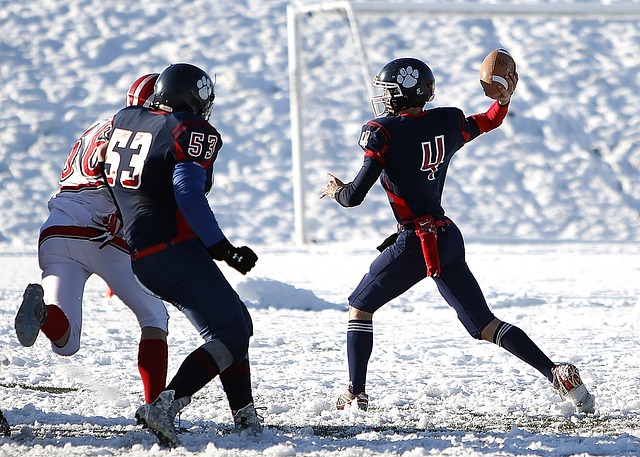 勇士队的胜 勇士队的胜