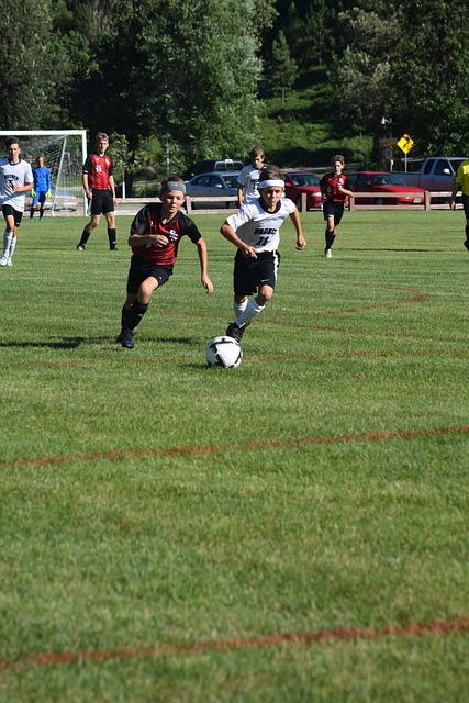 提供了可靠 提供了可靠