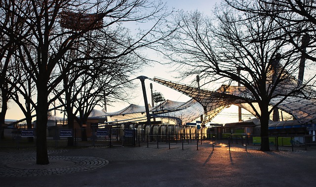 认知能力 认知能力