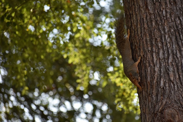 令人叹服 令人叹服